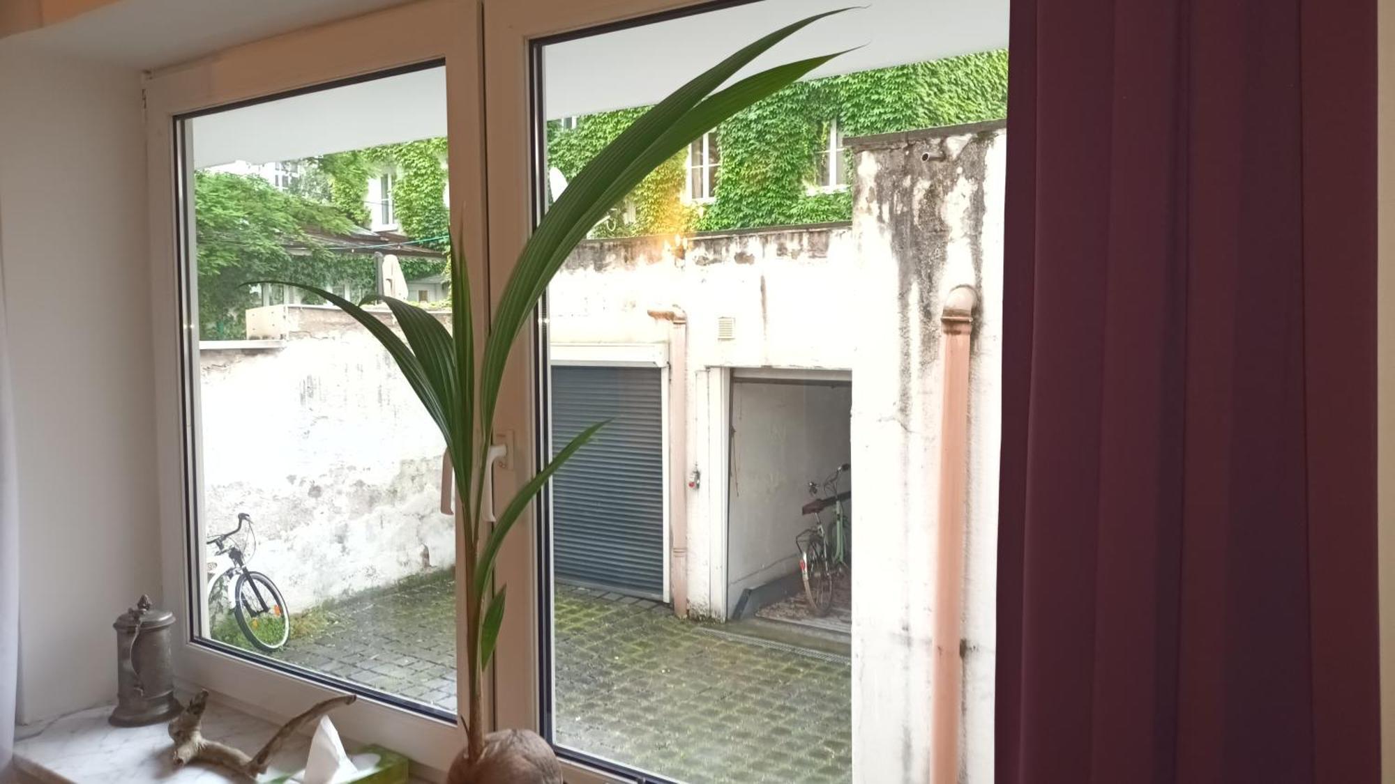 Stilvolles Appartement Im Zentralen Schwabing - Innenstadt Munich Exterior photo